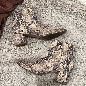 Steve Madden snake skin booties